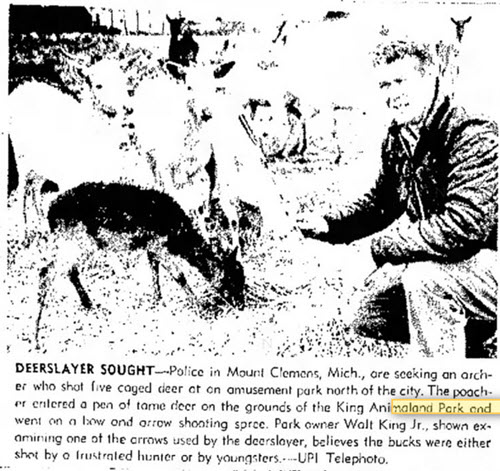 Kings Animaland Park - Dec 10 1966 Article On Deer Kill (newer photo)